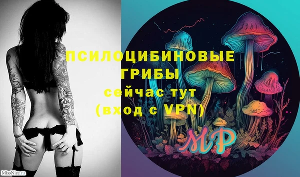 дмт Вязьма