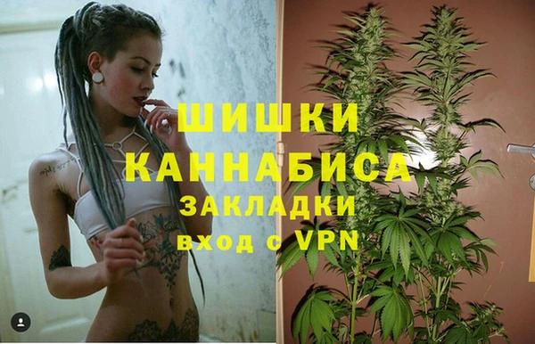 винт Вяземский
