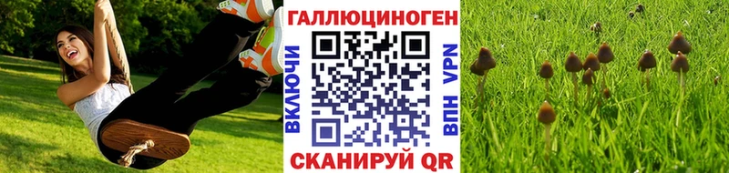 Псилоцибиновые грибы мицелий  где можно купить   Искитим 